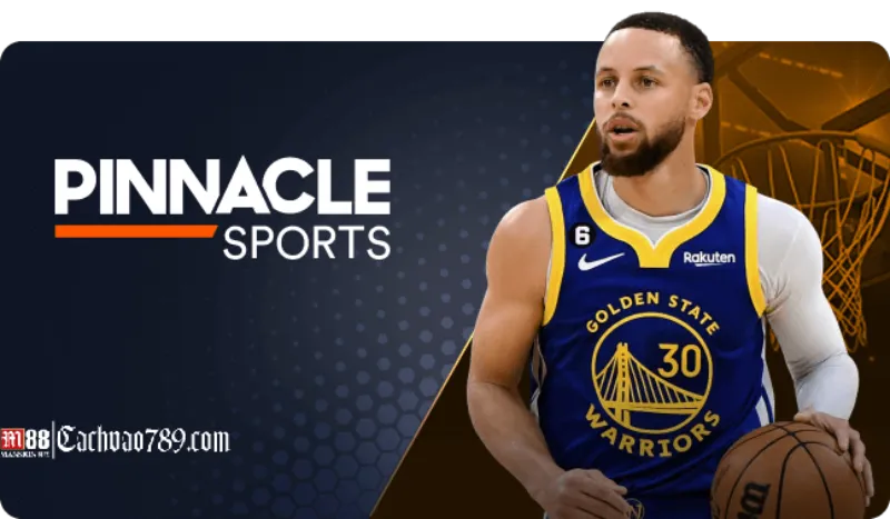 ưu điểm Pinnacle Sport